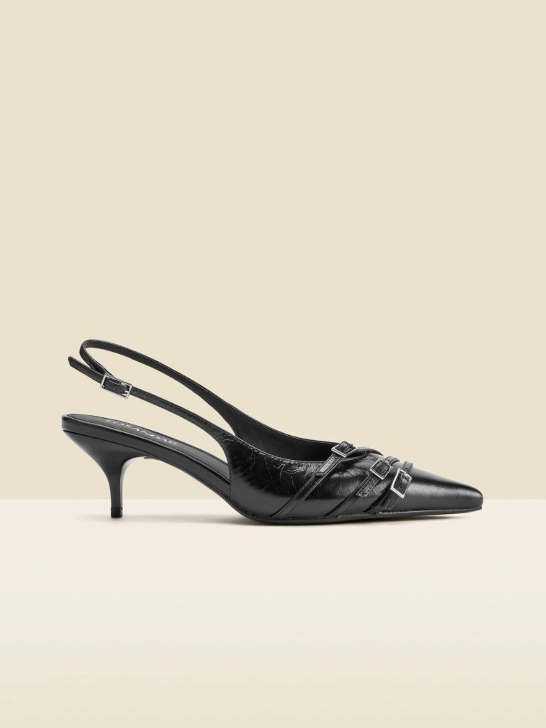 RID261 Standard/Wide Fit Point Toe Low Kitten Heels